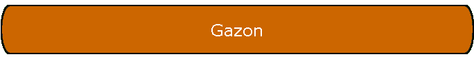 Gazon